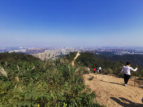 登山