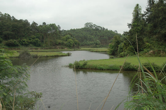 山川溪水