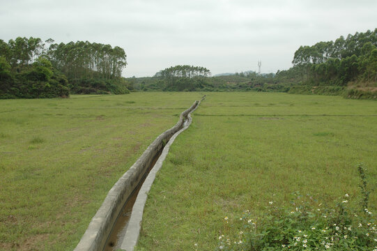 田野