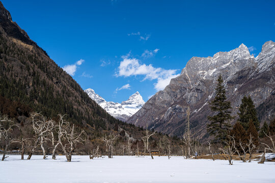 四姑娘山双桥沟雪景