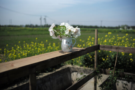 绿植天堂的鲜花山茶花