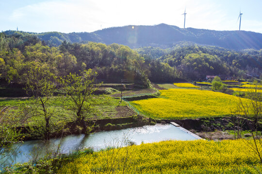 乡村风光