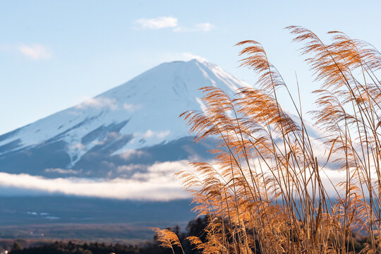 富士山特写