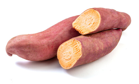 生红薯