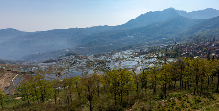 红河元阳梯田田园风光