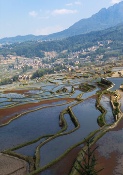 云南红河元阳梯田