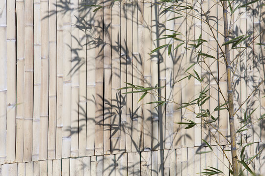 竹背影墙