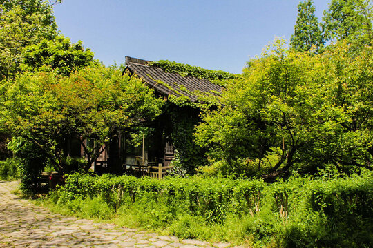 杭州西溪湿地公园风光