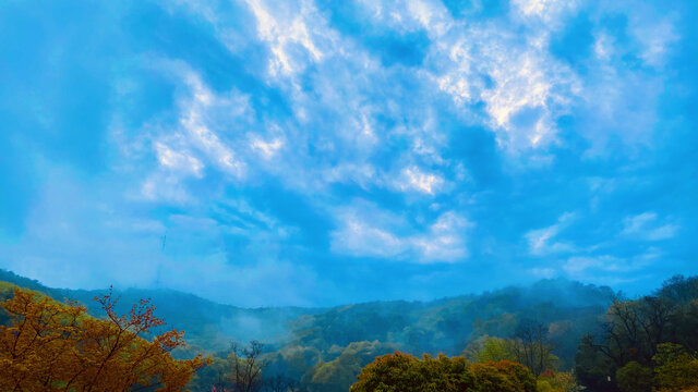 烟雨南山