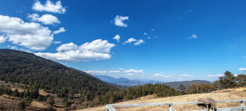 玉龙雪山牦牛坪图