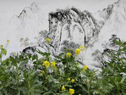 水墨山水画背景油菜花