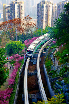 重庆春天的列车