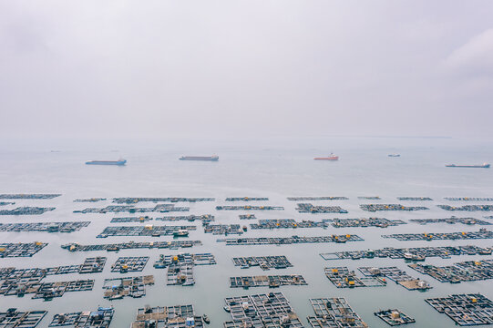 广东海陵岛蒲鱼洲湾海上养殖场