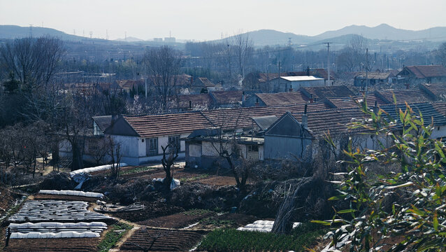 胶东半岛农村