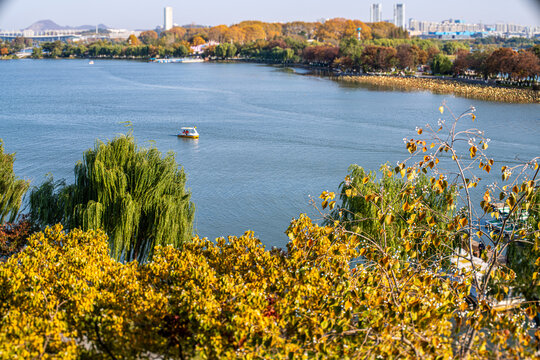 南京玄武湖秋天风景