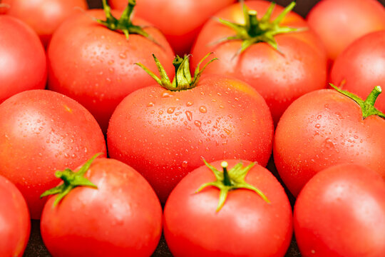 西红柿番茄特写