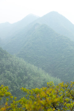 秦岭春山