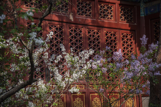 北京法源寺