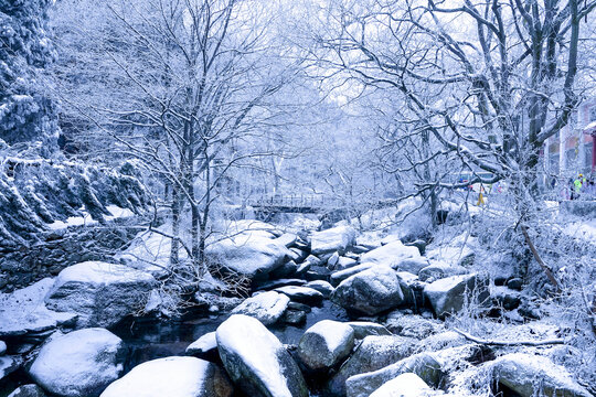 森林雪景