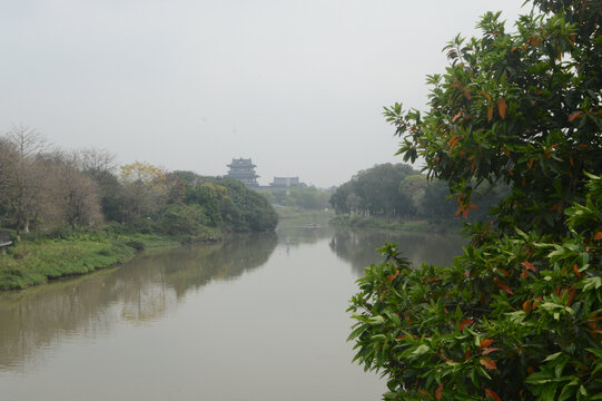 海珠湖涌