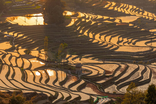 元阳梯田自然风景