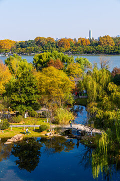 南京秋日的风景