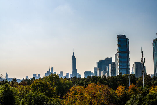 南京秋日的风景