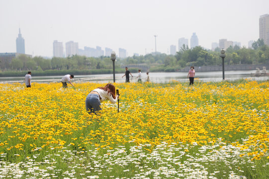 花丛女孩