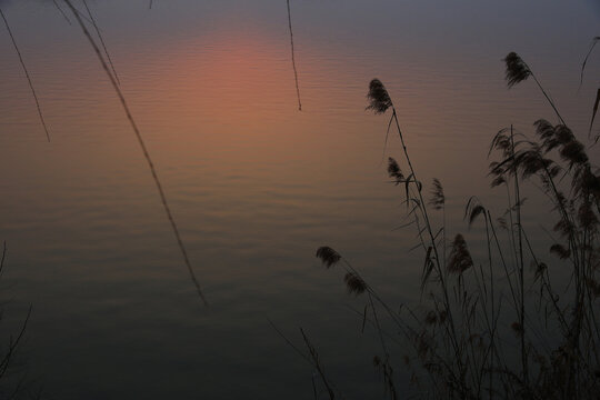 湖景