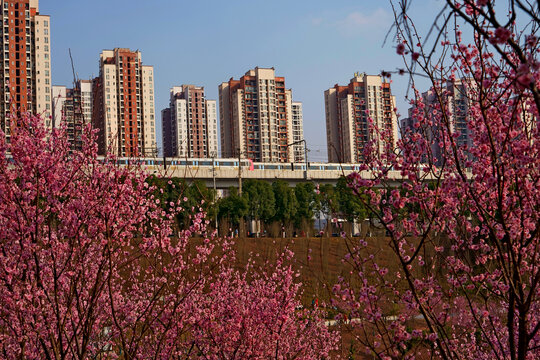 开往春天的地铁