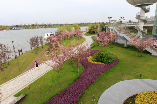 盐城中华海棠园