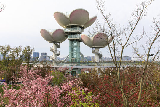 盐城中华海棠园