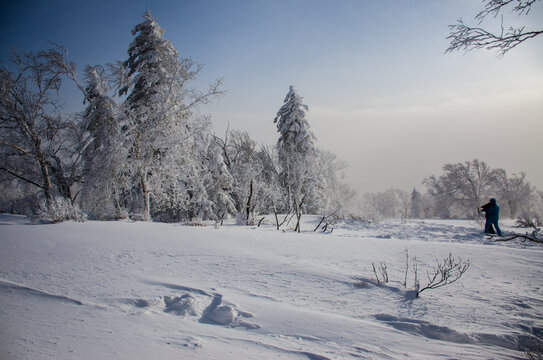 东北林海雪景