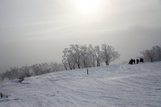 林海雪原