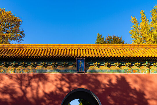 南京秋天明孝陵风景