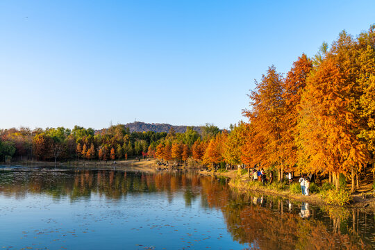 秋天明孝陵风景