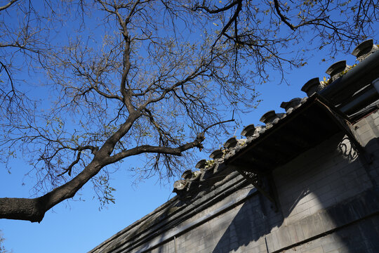 北京南长街老建筑