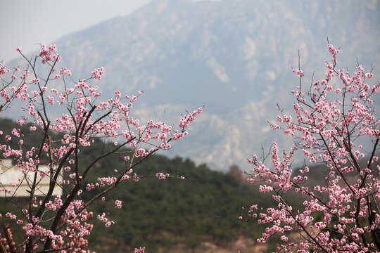 日照石老山风景区