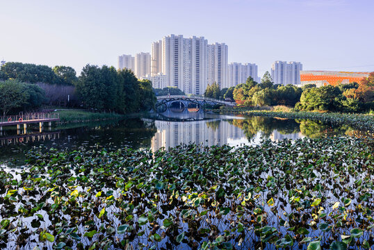 城市生态环境