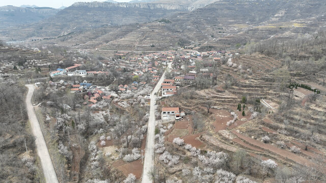 沂蒙山村春暖花开