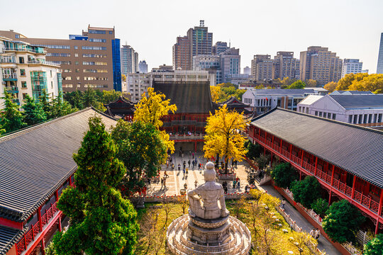 南京毗卢寺秋天风景