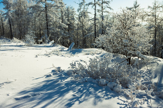 雪景森林雾凇