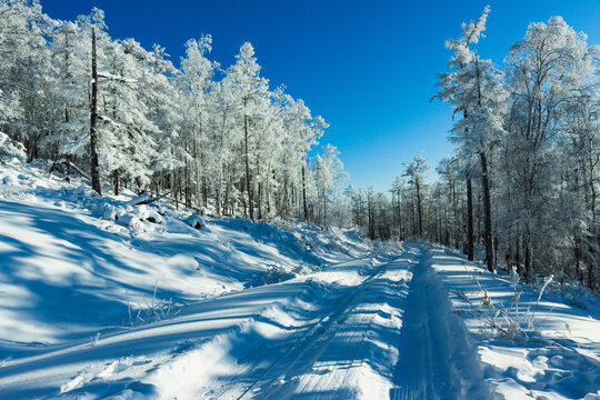 原始森林大雪雾凇车辙