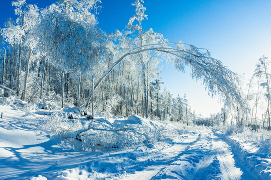 大雪森林雾凇雪景