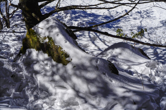 昆明轿子雪山