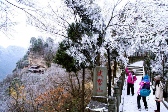 游客在武当山南岩宫山道拍摄雪松