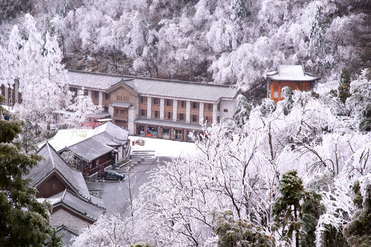 武当山南岩宫四周的雪松