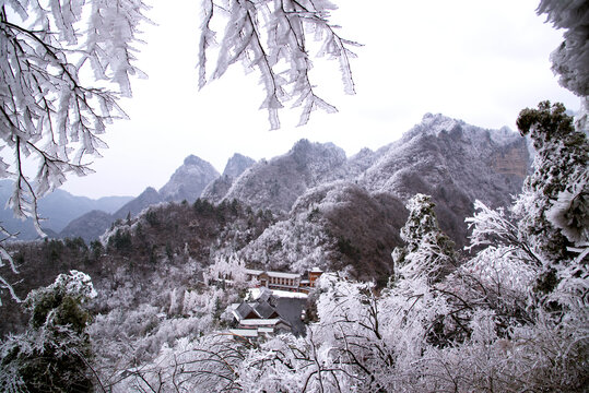 武当山南岩宫雪松