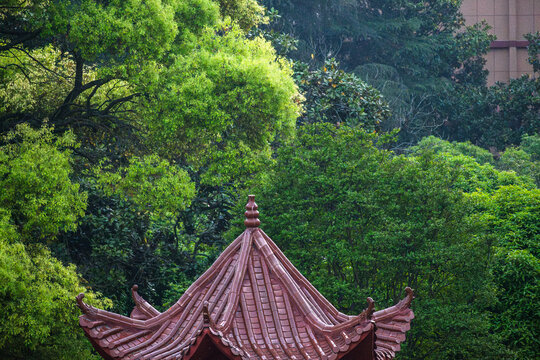 仿古建筑凉亭