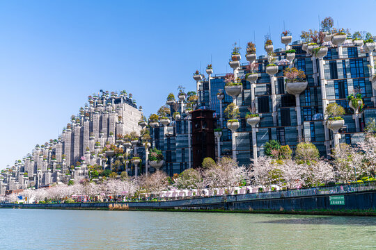 上海苏州河沿岸建筑及码头